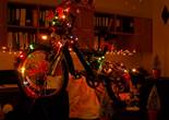 P1011506 (1024x768).jpg (75927 bytes)